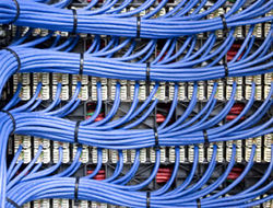 Structured Cabling from Emirates Palm Group Of Companies  Dubai, 