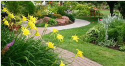 Landscape Contractor ... from  Al Ain, United Arab Emirates