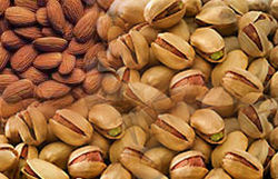 Dry Foods Suppliers UAE from Magnum Opus Gen Trading Llc  Dubai, 