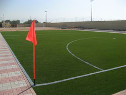 Artificial Grass for Football grounds from Bin Tamman Modern Enterprises  Dubai, 