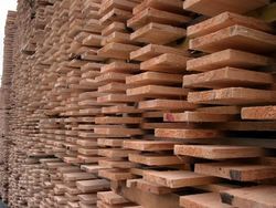 TIMBER SUPPLIER from Total Solutions Building Material Trading Llc  Dubai, 