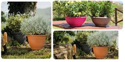 Buy GARDENING POTS IN DUBAI from Hamza Maroof Trading Llc in UAE