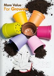 Buy POTS IN UAE from Hamza Maroof Trading Llc in UAE