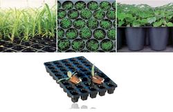 Buy CARRYING TRAY IN UAE from Hamza Maroof Trading Llc in UAE