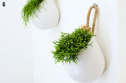 Buy DECORATIVE POTS IN SHARJAH from Hamza Maroof Trading Llc in UAE