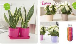 Buy POTS IN SHARJAH from Hamza Maroof Trading Llc in UAE