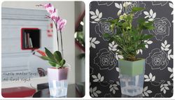 Buy ORCHID POTS IN ABU DHABI from Hamza Maroof Trading Llc in UAE