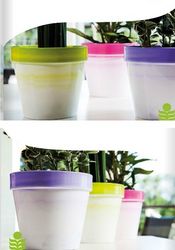 Buy POTS IN ABU DHABI from Hamza Maroof Trading Llc in UAE