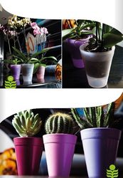 Buy ORCHID POTS IN OMAN from Hamza Maroof Trading Llc in UAE