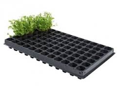 PACKS TRAY FOR PLANT ...
