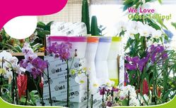 Buy DESIGNING POTS IN OMAN from Hamza Maroof Trading Llc in UAE