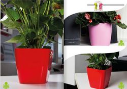 Buy FLOWER POTS IN OMAN from Hamza Maroof Trading Llc in UAE