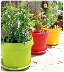 Buy FLOWER POTS IN SAUDI ARABIA from Hamza Maroof Trading Llc in UAE