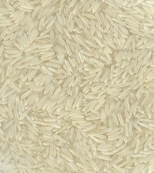 1121 Basmati Rice Ex ...