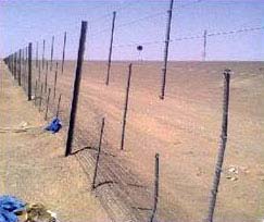 Sand Fencing In Abu  ...