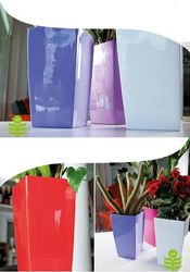 Buy ORCHID POTS IN QATAR from Hamza Maroof Trading Llc in UAE