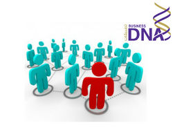 Human Resource System   from Business Dna L.l.c. - Member Of  Ncc Group Of Co  Abu Dhabi, 