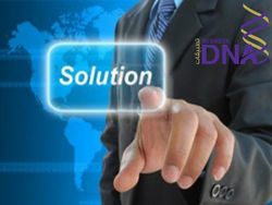 It Solution Companies Dubai  from Business Dna L.l.c. - Member Of  Ncc Group Of Co  Abu Dhabi, 