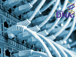 It Network Companies Dubai from Business Dna L.l.c. - Member Of  Ncc Group Of Co  Abu Dhabi, 