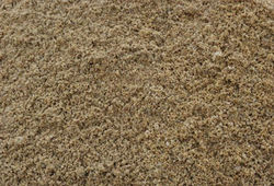 dunes sand