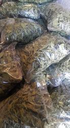 Buy DRIED MULCHIA from Best Herbs in Egypt