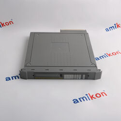 Buy ICS TRIPLEX TRUSTED TMR ANALOG INPUT PN:T8431C from Amikong Dcs in China