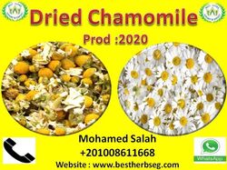 chamomile for import ...