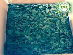 Offers and Deals in UAE For Molokhia dried leaves  for export production 2021