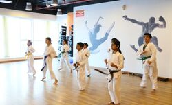 Karate & Martial Arts Club Abu Dhabi from Lifeline Wellness Abu Dhabi, UNITED ARAB EMIRATES