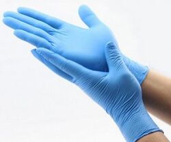 Nitrile Gloves Powder Free from Avensia General Trading Llc Dubai, UNITED ARAB EMIRATES