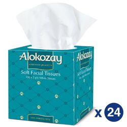 Alokozay Btq Tissue 100x2 Ply - Pack Of 24 | Al