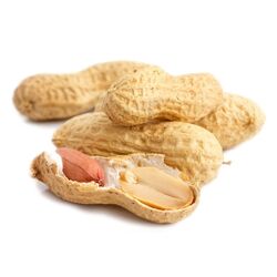 Peanuts from Fresh Fruit Mart Llc Abu Dhabi, UNITED ARAB EMIRATES