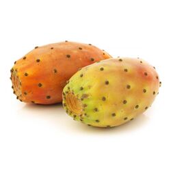 FRESH Pears from Fresh Fruit Mart Llc Abu Dhabi, UNITED ARAB EMIRATES