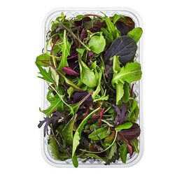 Mix Salad Leaves Box ... from Fresh Fruit Mart Llc Abu Dhabi, UNITED ARAB EMIRATES