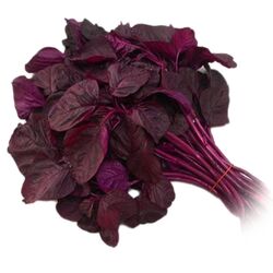 Buy SPINACH from Fresh Fruit Mart Llc in UAE