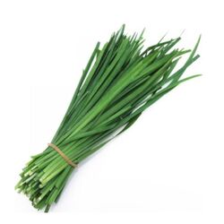 Buy GARLIC LEAVES from Fresh Fruit Mart Llc in UAE