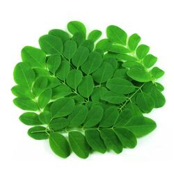 Buy DRUMSTICK LEAVES from Fresh Fruit Mart Llc in UAE