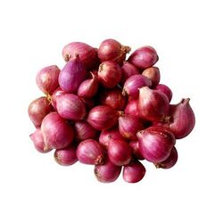 Buy SHALLOTS from Fresh Fruit Mart Llc in UAE