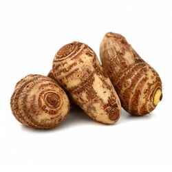 Buy FRESH VEGETABLES SELLERS IN UAE from Fresh Fruit Mart Llc in UAE