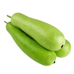 Buy BOTTLE GOURD from Fresh Fruit Mart Llc in UAE