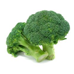 Buy BROCCOLI  from Fresh Fruit Mart Llc in UAE