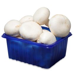 Buy FRESH MUSHROOMS from Fresh Fruit Mart Llc in UAE