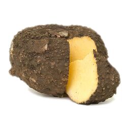 Buy VEGETABLES SELLERS AND EXPORTERS from Fresh Fruit Mart Llc in UAE