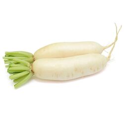 Buy WHITE RADISH  from Fresh Fruit Mart Llc in UAE