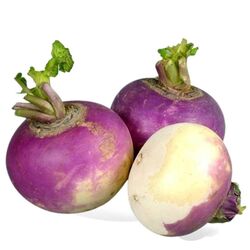 Buy VEGETABLES SUPPLIERS from Fresh Fruit Mart Llc in UAE