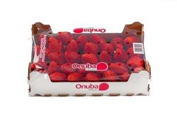 Buy STRAWBERRY SELLERS IN UAE from Fresh Fruit Mart Llc in UAE