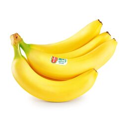Buy FRESH BANANA SELLERS from Fresh Fruit Mart Llc in UAE