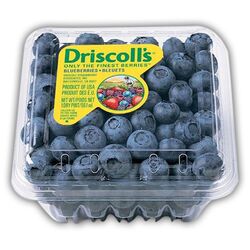 Buy BLUEBERRY from Fresh Fruit Mart Llc in UAE