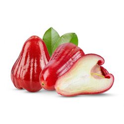 Rose Apples from Fresh Fruit Mart Llc Abu Dhabi, UNITED ARAB EMIRATES