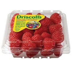 Buy RASBERRIES from Fresh Fruit Mart Llc in UAE